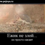 Йожек
