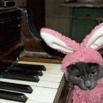 Кот масляный