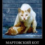 люблю невест