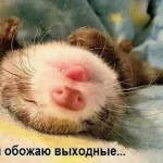 Алексей 3434