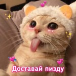 myswdsfdsinfo