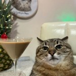 RelaxPolice
