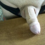 biks69