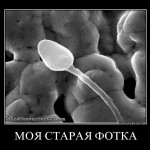 kcid