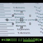 fdanik987