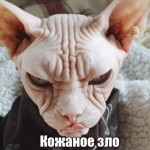 Жuhcara