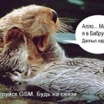 Сержи