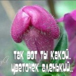 Sousep167